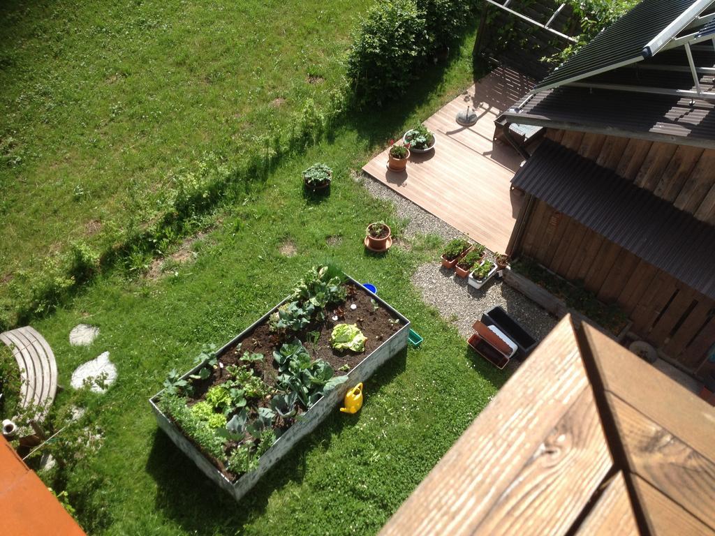 Ferienwohnung Natter In Mellau Rom bilde